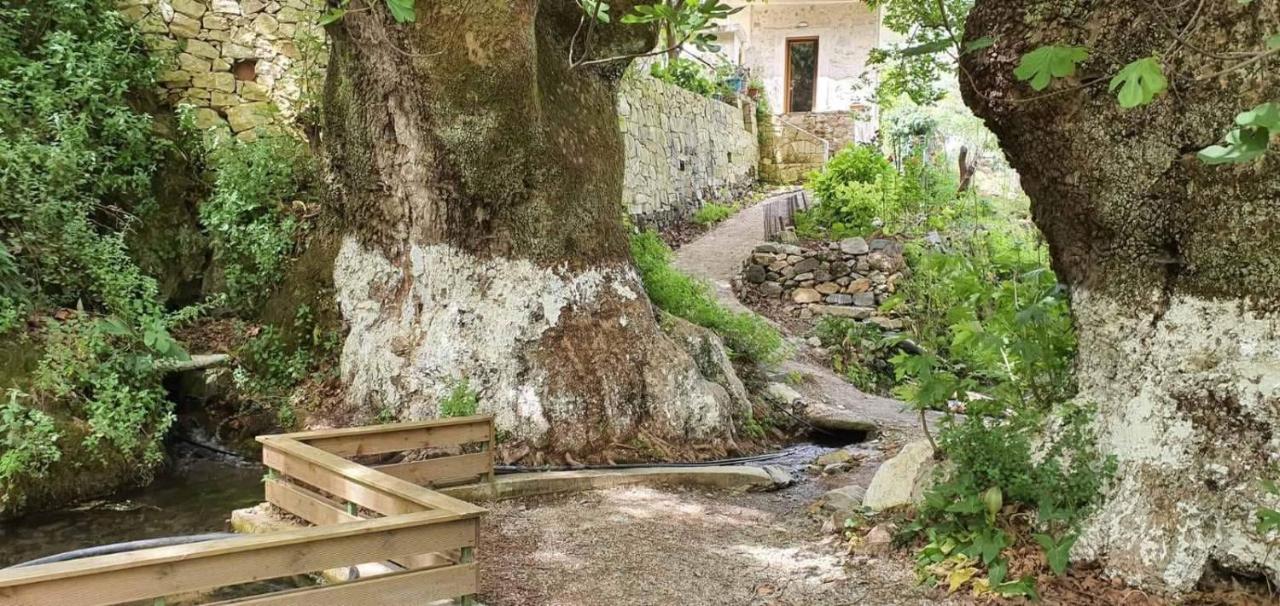 Villa Platanus House Meskla Esterno foto